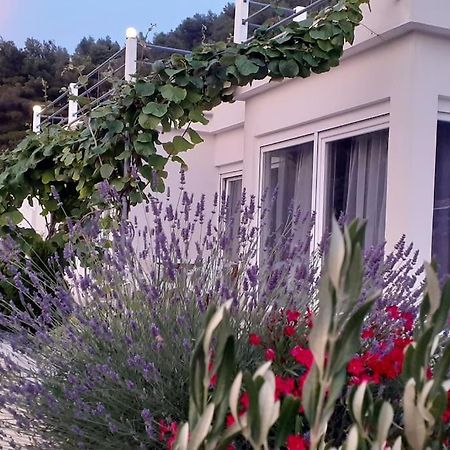 Vis - Luxury Holiday Villa With Swimming Pool Buitenkant foto